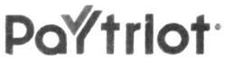 Свідоцтво торговельну марку № 315707 (заявка m202005881): paytriot