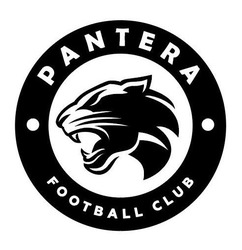 Свідоцтво торговельну марку № 328693 (заявка m202104492): pantera; football club
