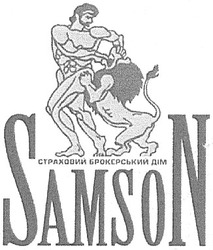 Заявка на торговельну марку № m200615282: samson; страховий брокерський дім