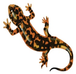 Заявка на торговельну марку № m202606374