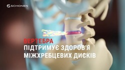 Заявка на торговельну марку № m202418980: schonen; здоровя; вертебра підтримує здоров'я міжхребцевих дисків