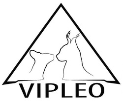 Свідоцтво торговельну марку № 263893 (заявка m201721076): vipleo