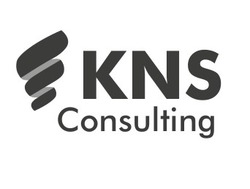 Свідоцтво торговельну марку № 328998 (заявка m202106157): kns consulting