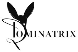 Заявка на торговельну марку № m202522022: dominatrix
