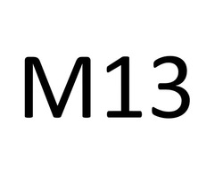Заявка на торговельну марку № m202609337: м13; m13
