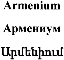 Свідоцтво торговельну марку № 176704 (заявка m201211924): armenium; армениум