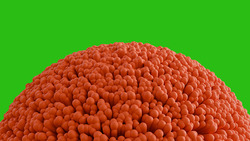 Заявка на торговельну марку № m202602429