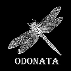 Заявка на торговельну марку № m202107544: odonata