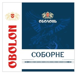Заявка на торговельну марку № m202608979