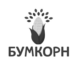 Заявка на торговельну марку № m202313324: бумкорн