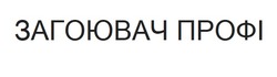 Заявка на торговельну марку № m202416488: загоювач профі