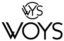 Свідоцтво торговельну марку № 345513 (заявка m202126595): woys; wys