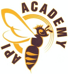 Заявка на торговельну марку № m201309556: academy api