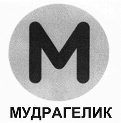 Свідоцтво торговельну марку № 316807 (заявка m201922633): m; мудрагелик