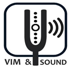Свідоцтво торговельну марку № 341496 (заявка m202126982): vim&sound