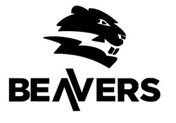 Свідоцтво торговельну марку № 319331 (заявка m202122668): beavers