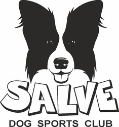 Заявка на торговельну марку № m202204089: dog sports club; salve