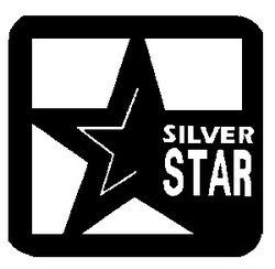 Свідоцтво торговельну марку № 20046 (заявка 97124043): silver star