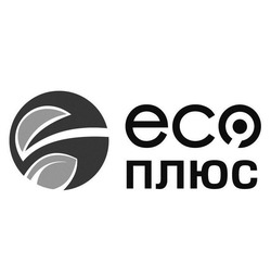 Заявка на торговельну марку № m201627697: eco; есо; плюс