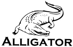 Свідоцтво торговельну марку № 202156 (заявка m201324175): alligator