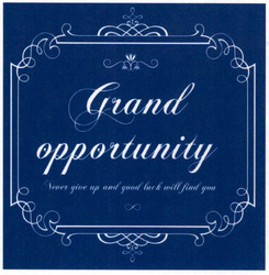 Заявка на торговельну марку № m202602130: never give up and good luck will find you; grand opportunity