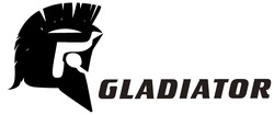 Заявка на торговельну марку № m202011894: gladiator