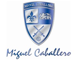 Заявка на торговельну марку № m202411967: miguel caballero