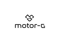 Заявка на торговельну марку № m202521046: mg; motor-g