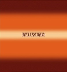 Свідоцтво торговельну марку № 335155 (заявка m202119193): belissimo