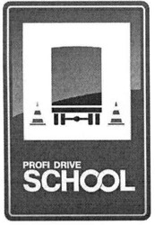 Заявка на торговельну марку № m200809580: profi drive; school