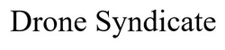 Заявка на торговельну марку № m202605498: drone syndicate
