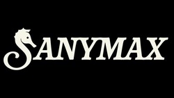 Заявка на торговельну марку № m202515383: sanymax