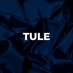 Заявка на торговельну марку № m202520327: tule