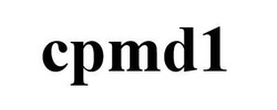 Свідоцтво торговельну марку № 310943 (заявка m202004261): cpmd1