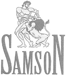 Заявка на торговельну марку № m200615278: samson