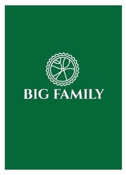 Заявка на торговельну марку № m202212643: big family