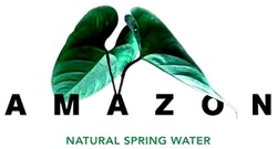 Заявка на торговельну марку № m202123868: amazon; natural spring water
