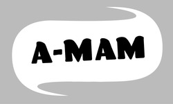 Заявка на торговельну марку № m202012910: a-mam; a mam; а-мам; а мам