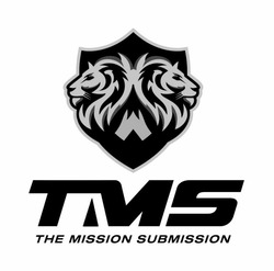 Свідоцтво торговельну марку № 318559 (заявка m202012191): tms; the mission submission