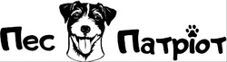 Заявка на торговельну марку № m202308809: пес патріот