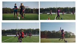 Заявка на торговельну марку № m202514185