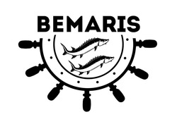 Свідоцтво торговельну марку № 316074 (заявка m202012892): bemaris
