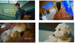 Заявка на торговельну марку № m202308032: slots city