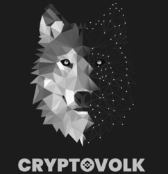 Заявка на торговельну марку № m202317014: cryptovolk