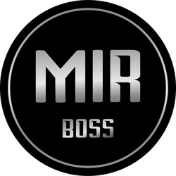 Заявка на торговельну марку № m202420823: mir boss