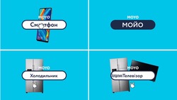 Заявка на торговельну марку № m202125644: moyo; мойо; холодильник телевізор; смартфон