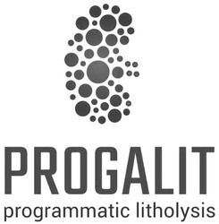 Свідоцтво торговельну марку № 310961 (заявка m202005381): progalit programmatic litholysis