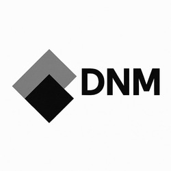 Заявка на торговельну марку № m202511398: dnm