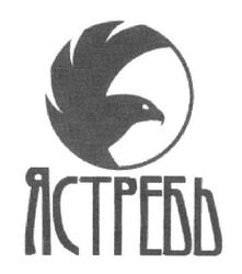 Свідоцтво торговельну марку № 283037 (заявка m201822265): ястребь