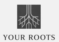 Заявка на торговельну марку № m202601208: your roots